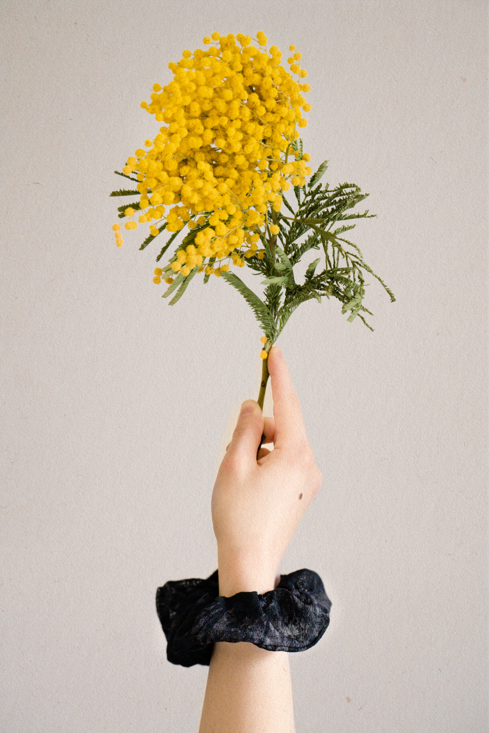 Chouchou Virginie – Image 3