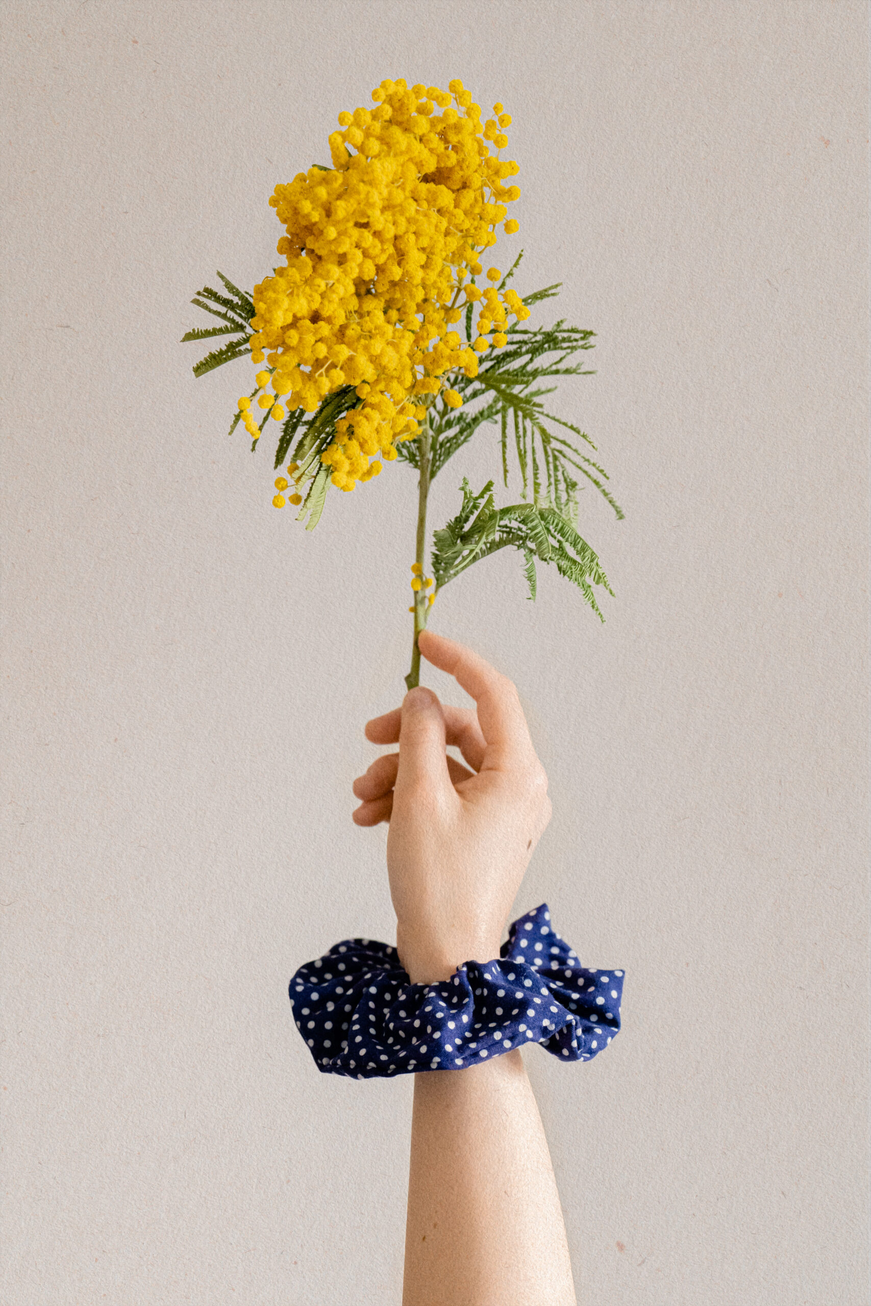 Chouchou Gwenn – Image 3